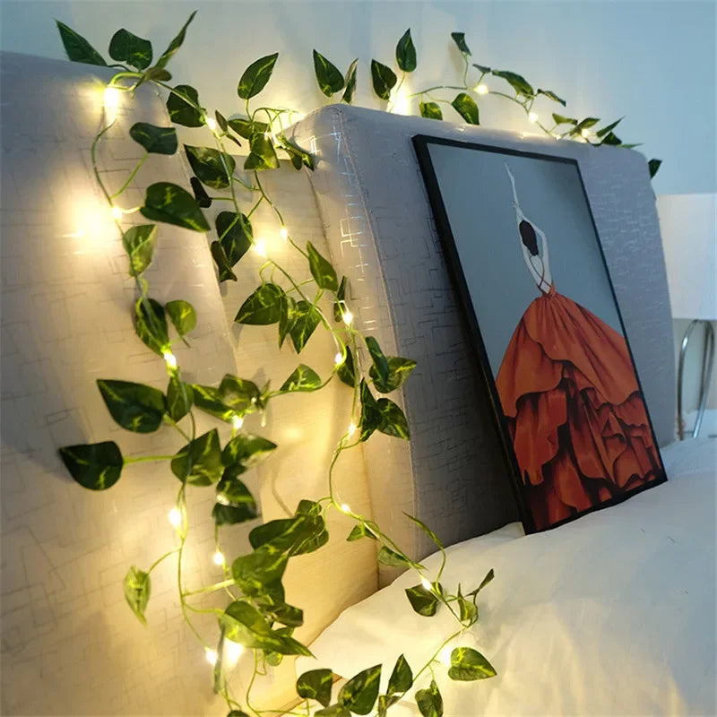 Lianes illuminées.